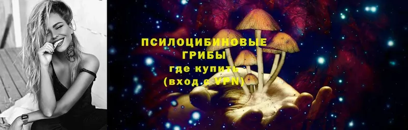 дарнет шоп  Льгов  Галлюциногенные грибы Cubensis 